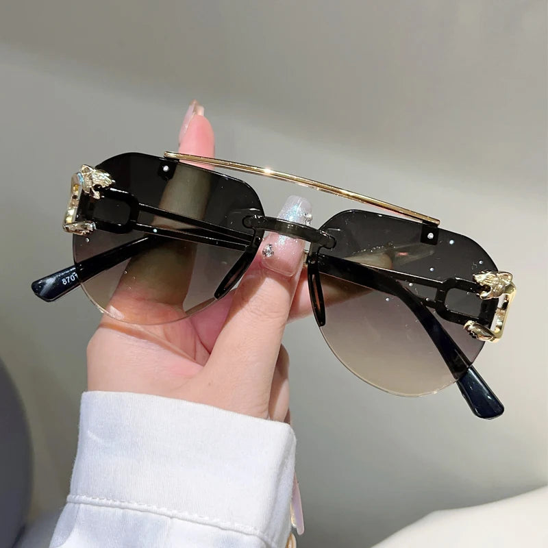 KammVision