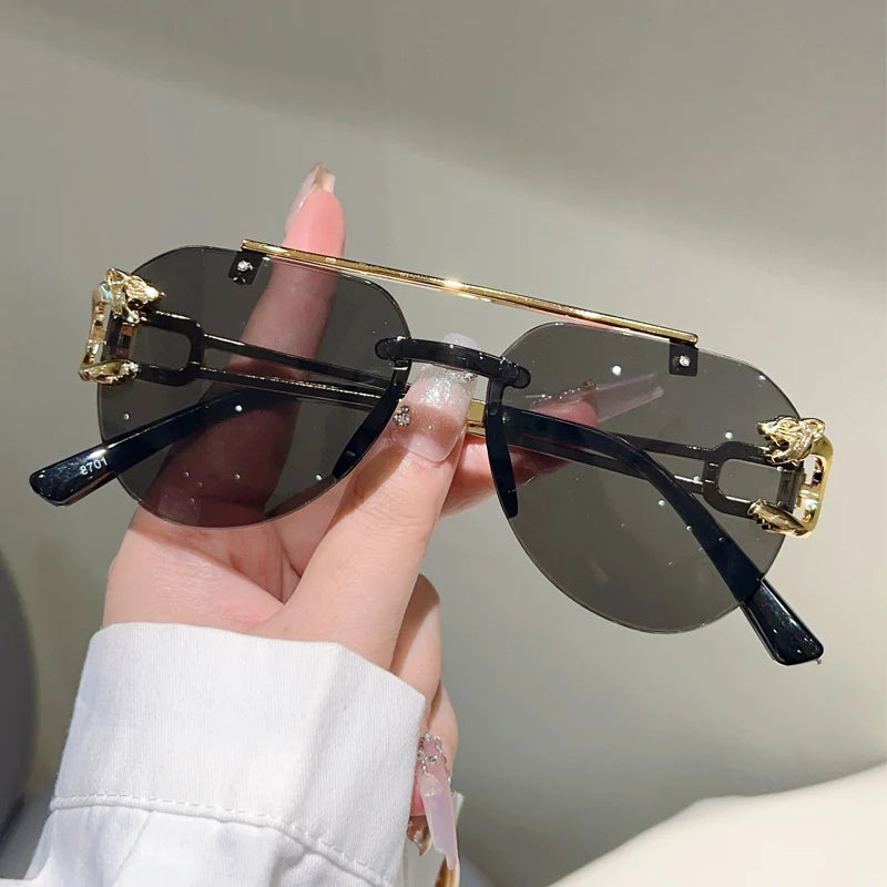 KammVision