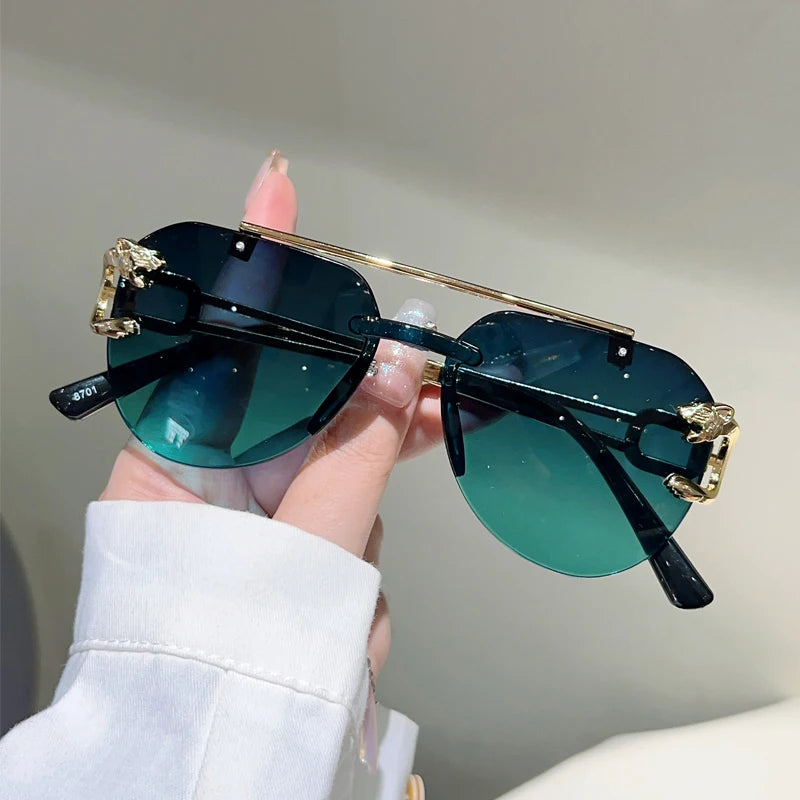 KammVision